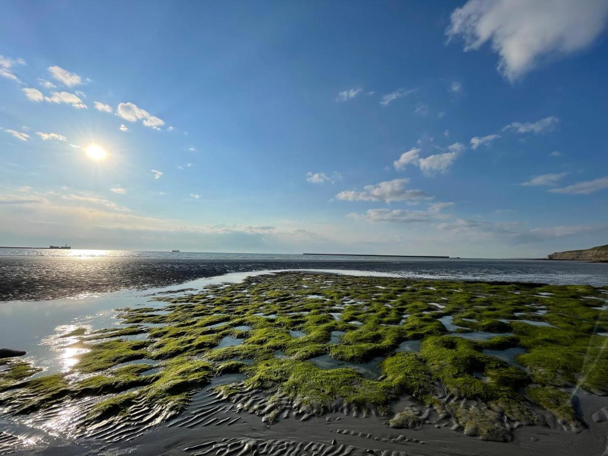 Superbe Vue Mer Face A Nausicaa Boulogne-sur-Mer Exterior foto
